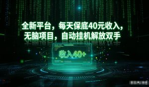 最新看广平台,每天保底30-4米,无脑项目,自动挂G解放双手【揭秘】| 鹿鸣网创