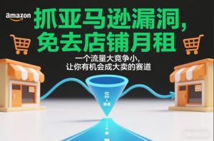 抓亚马逊漏洞,免去店铺月租,一个流量大竞争小,让你有机会成大卖的赛道| 鹿鸣网创