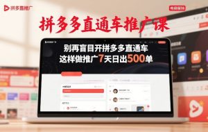 拼多多直通车推广课，别再盲目开拼多多直通车，这样做推广7天日出500单| 鹿鸣网创