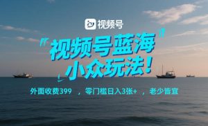 视频号蓝海小众玩法!外面收费399,零门槛日入3张+,老少皆宜| 鹿鸣网创