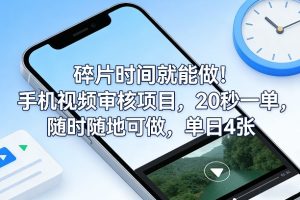 碎片时间就能做！手机视频审核项目，20秒一单，随时随地可做，单日4张+【揭秘】| 鹿鸣网创