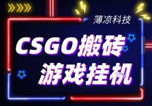 CSGO游戏挂G游戏搬砖最新升级，普通小白一部手机可日入3张+当天见结果，支持验证【揭秘】| 鹿鸣网创