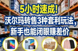 5小时速成！沃尔玛转售3种套利玩法，新手也能闭眼賺差价| 鹿鸣网创