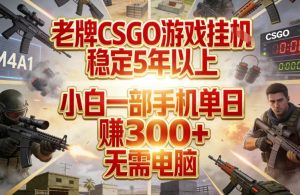 老牌CSGO游戏挂G，稳定5年以上，小白一部手机单日賺3张+，无需电脑【揭秘】| 鹿鸣网创