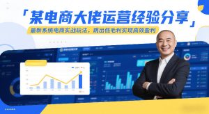某电商大佬运营经验分享，最新系统电商实战玩法，跳出低毛利实现高效盈利（更新）| 鹿鸣网创