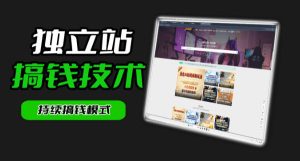 干货来袭！麦子甜带你吃透独立站｜从搭建到引流一站式教学《独立站》第一期| 鹿鸣网创