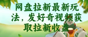 网盘拉新最新玩法,发好奇视频获取拉新收益,抖音收藏家玩法| 鹿鸣网创