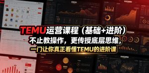 TEMU运营课程（基础+进阶），不止教操作，更传授底层思维，一门让你真正看懂TEMU的进阶课| 鹿鸣网创