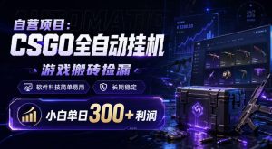 自营项目：CSGO全自动挂G，游戏搬砖捡漏，软件科技简单易用，长期稳定，小白单日300+利润【揭秘】| 鹿鸣网创