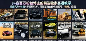 抖音百万粉丝博主的精选独家赛道教学,涵盖汽车+体育+影视解说等,零基础也能快速起号、涨粉、变现| 鹿鸣网创