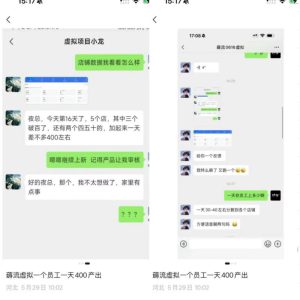 薅流虚拟2.0陪跑课,0成本AI流程化操作,淘宝+闲鱼同步玩法,上一次货两个平台有收益,单店每天200纯利润| 鹿鸣网创