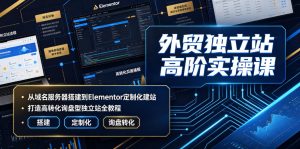 外贸独立站高阶实操课|从域名服务器搭建到Elementor定制化建站,打造高转化询盘型独立站全教程| 鹿鸣网创