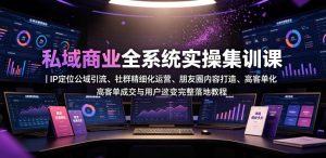 私域商业全系统实操课|IP定位公域引流、社群精细化运营、朋友圈内容打造、高客单成交与用户裂变完整落地教程| 鹿鸣网创