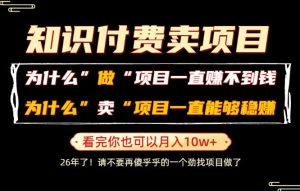 普通人为什么能够靠卖项目轻松月入10W+,而做项目却容易成炮灰,卖项目为什么能够稳賺不赔?【揭秘】| 鹿鸣网创