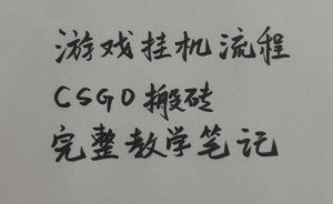 游戏挂G全流程笔记分享，CSGO游戏搬砖，小白看了当天学会见收益【揭秘】| 鹿鸣网创
