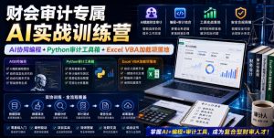 财会审计专属AI实战训练营|AI协同编程+Python审计工具箱+Excel VBA加载项落地(更新0816)| 鹿鸣网创