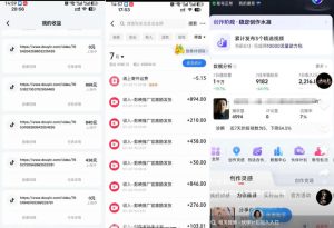 外面卖299的爆款二创配音情感语录教学，一个作品20分钟左右，伙伴计划+剪映拉新+收徒等多种收益| 鹿鸣网创