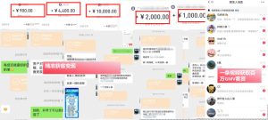 IP+爆款视频训练营，带你用最低成本跑通个人IP从0到1涨粉，从流量到现金的完整闭环| 鹿鸣网创