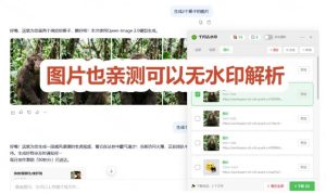 太香了！这款千问视频/图片去水印神器，一键搞定烦人水印，本地完全免费，浏览器拓展插件| 鹿鸣网创