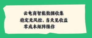 云电商智能数据收集，稳定无风控，当天做当天见收益，零成本矩阵操作【揭秘】| 鹿鸣网创