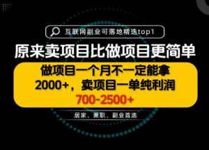 一单利润700-2.5K+,为什么我们要卖项目而不是做项目,我们普通人应该怎样开始?【揭秘】| 鹿鸣网创