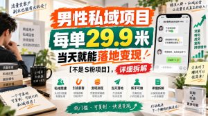 男性私域项目,每单29.9米,当天就能落地变现【不是S粉项目】,详细拆解| 鹿鸣网创