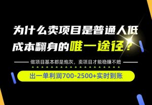 普通人如何靠互联网賺取自己的第一桶金！全类目实操型教学，看完你全都懂了！【揭秘】| 鹿鸣网创