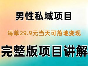 男性私域项目每单29.9，当天就能落地变现【不是S粉项目】详细拆解| 鹿鸣网创