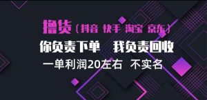 抖音淘宝快手买手项目，一单利润20左右，单号每天下三单，可矩阵【揭秘】| 鹿鸣网创