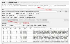 抖音批量视频下载工具,一键下载高清无水印视频,到手就能用| 鹿鸣网创