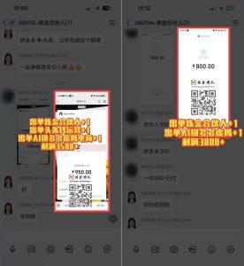 日入3k+的互联网项目,网红的尽头是带货,网创的尽头一定是知识付费卖项目【揭秘】| 鹿鸣网创