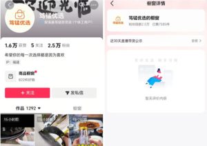 无需实拍也能做好抖音车载带货项目,收益非常稳定,每天坚持发就可以!| 鹿鸣网创